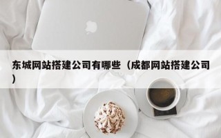 阳春东城网站搭建公司有哪些（成都网站搭建公司）